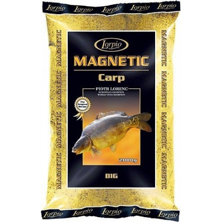 Lorpio Magnetic Carp Big 2kg