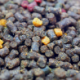 Osmo Pro Pellet Dark - 0.9kg