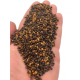 Osmo Pellet Furia - 900g