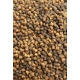 Pellet Prestige Spice 4mm - Feeder Bait