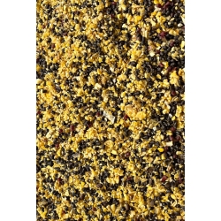 Seria Klubowa Dynamic Corn - Feeder Bait